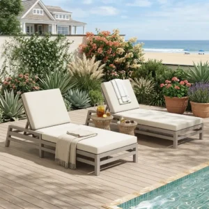 5-Position Adjustable Outdoor Chaise Lounge with Plush Cushions by Leisure Zone